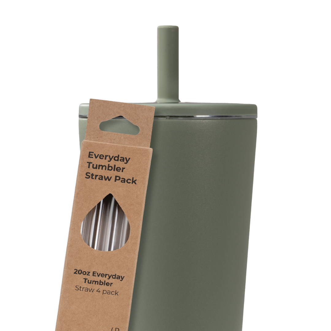 tumbler-straws-4-pack-20oz-d3 Everyday_20.png
